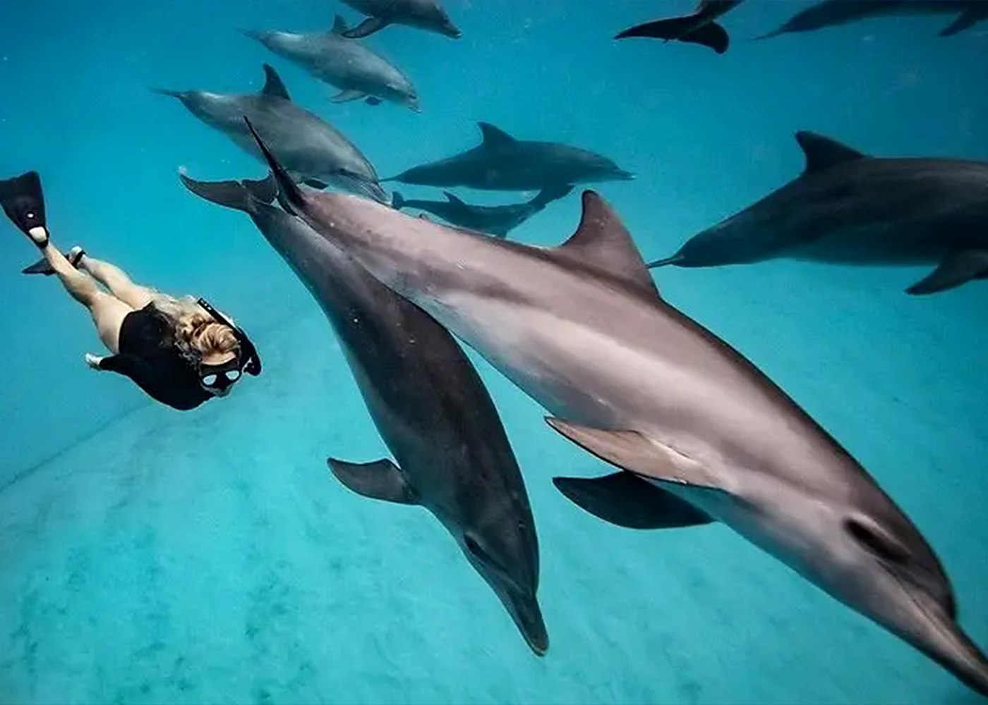 Mnemba Island Waters
