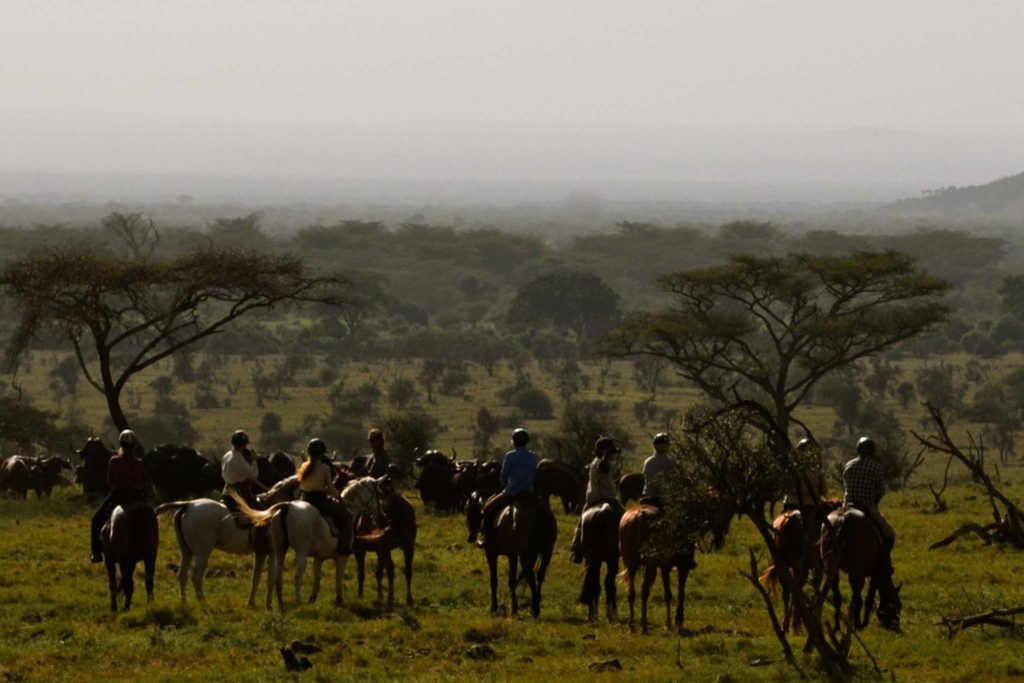 horseback safari in arusha or west kilimanjaro vista zanzibar tours