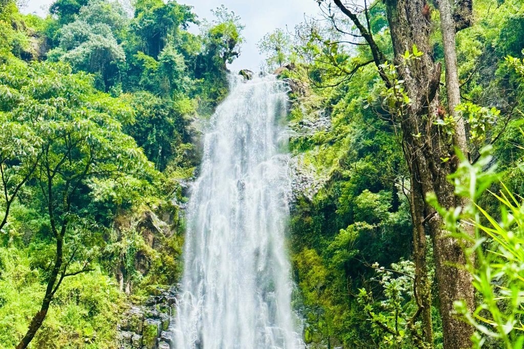 materuni waterfalls tour (near moshi) vistazanzibartours
