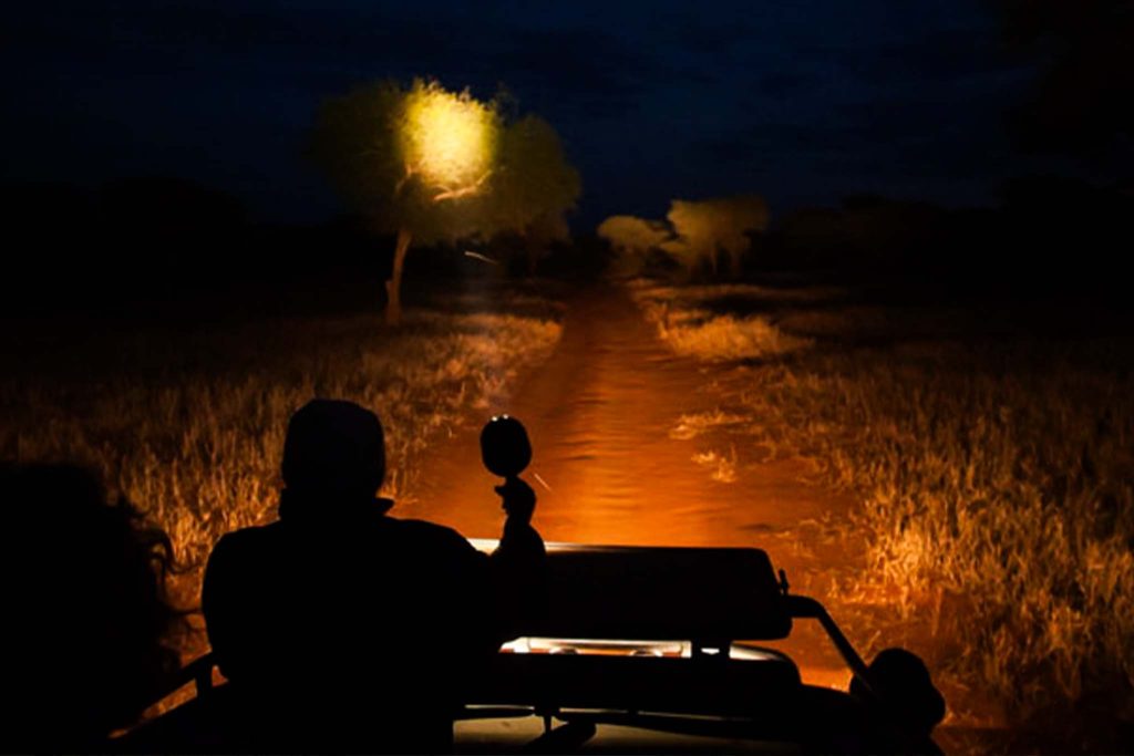 night game drive (lake manyara or tarangire) vistazanzibar tours