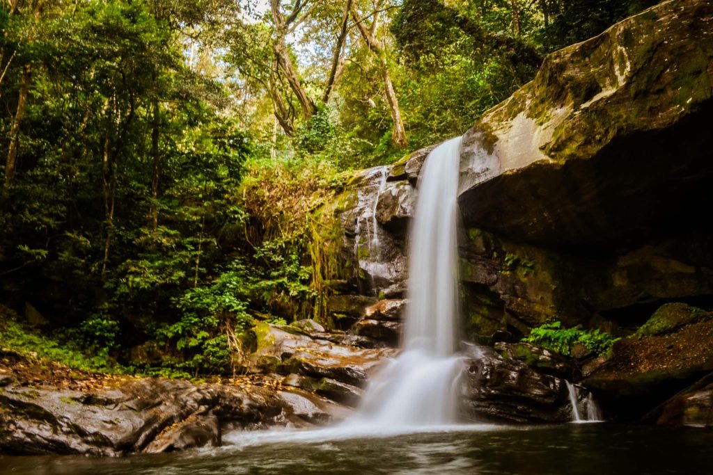 sanje waterfall hike (udzungwa) vistazanzibartours