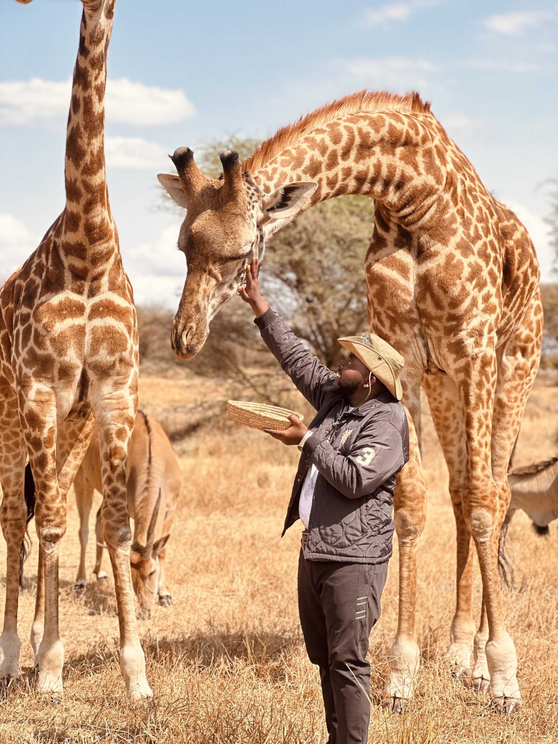 tamed safaris vistazanzibar tours